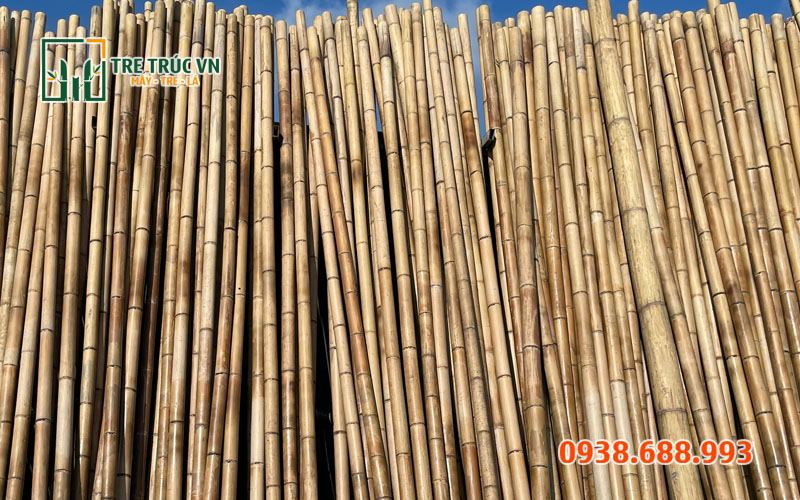 Cây tre khô — Tre gai nguyên liệu Cung cấp cây tre khô trang trí xây dựng giá rẻ chất lượng tại TPHCM