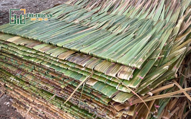 Đặc điểm của lá dừa chằm
