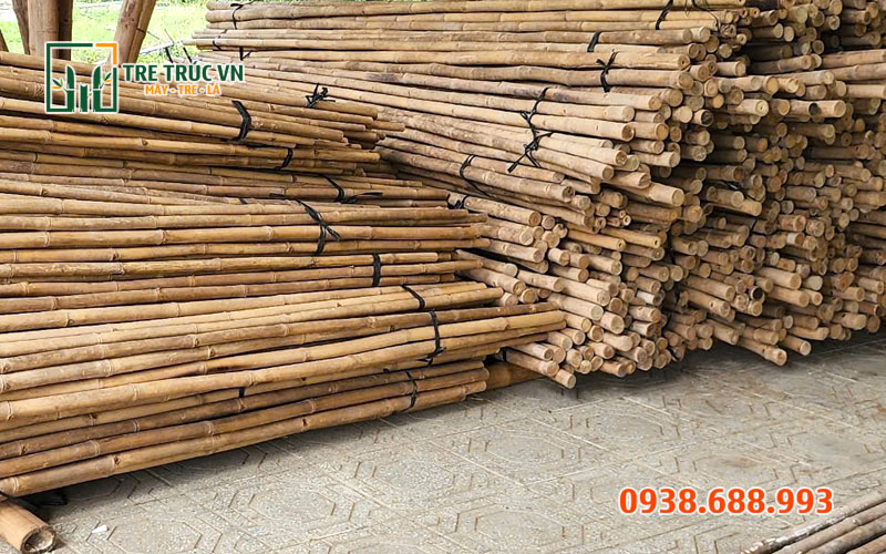Cây tầm vông — Tre tầm vông nguyên liệu Nơi bán tre tầm vông khô trang trí giá rẻ chất lượng tại TPHCM
