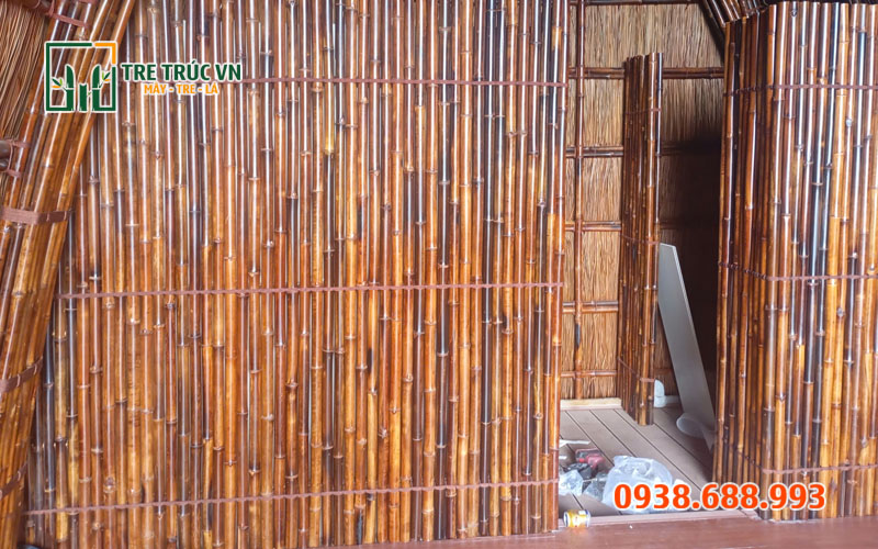 Cây tầm vông — Tre tầm vông nguyên liệu Tầm vông làm homestay