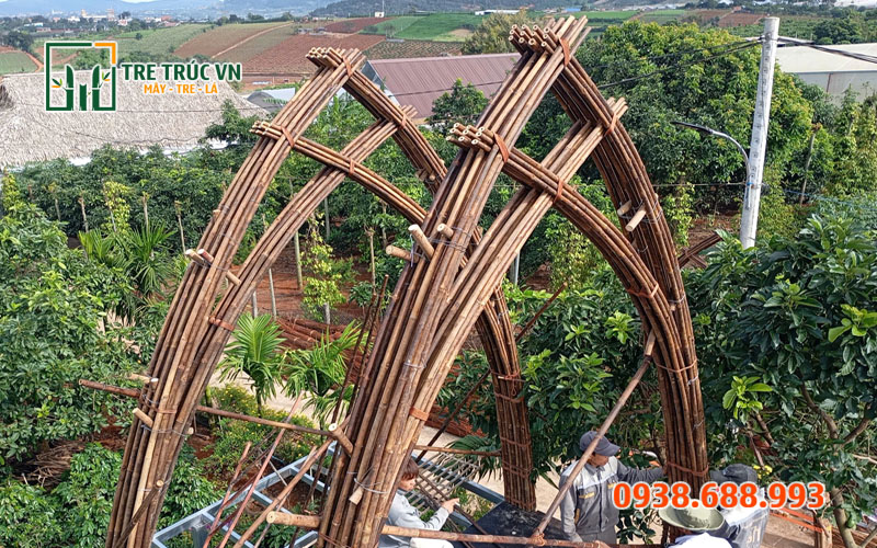 Cây tầm vông — Tre tầm vông nguyên liệu Tầm vông làm nhà trong khu du lịch sinh thái