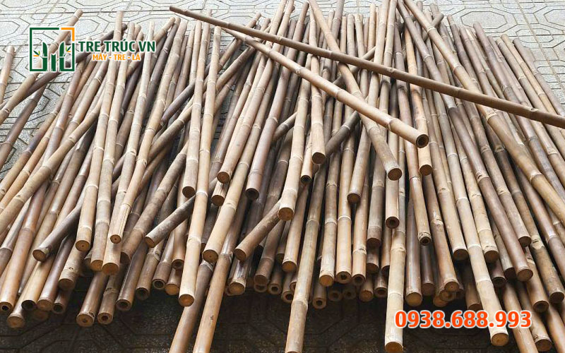 Cây tầm vông — Tre tầm vông nguyên liệu Tre tầm vông trong trang trí