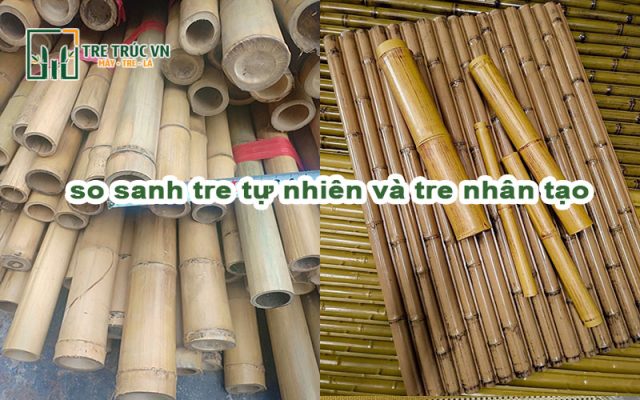 Só sanh tre tự nhiên và tre nhân tạo