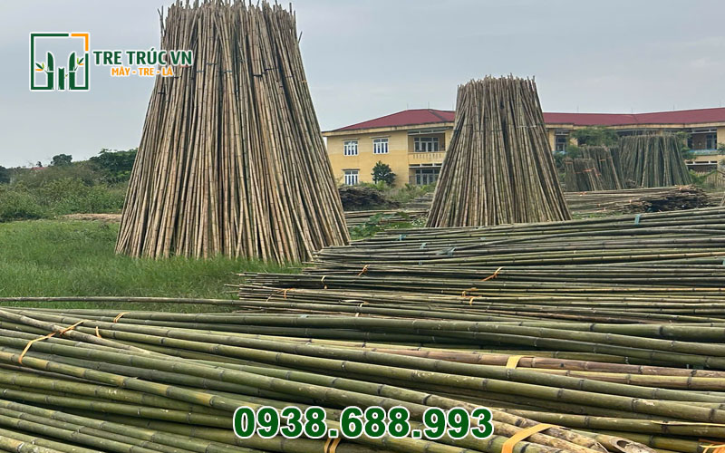 Chuẩn bị nguyên liệu