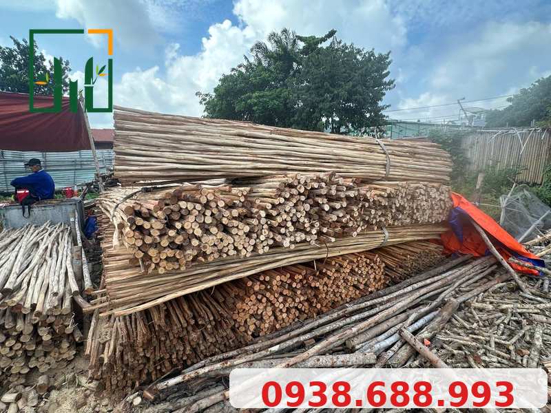 Ứng Dụng Bạch Đàn Bóc Vỏ Trong Trang Trí & Xây Dựng 2026 Cừ bạch đàn xếp bó tại xưởng - Tre Trúc VN - LH 0938.688.993