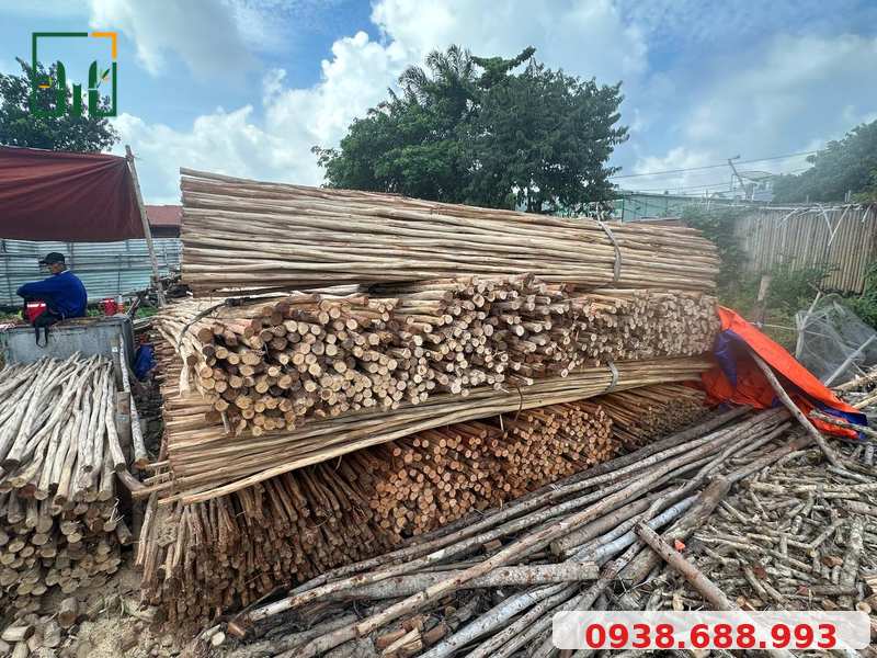 Cừ bạch đàn bóc vỏ trang trí - Tre Trúc VN - LH 0938.688.993