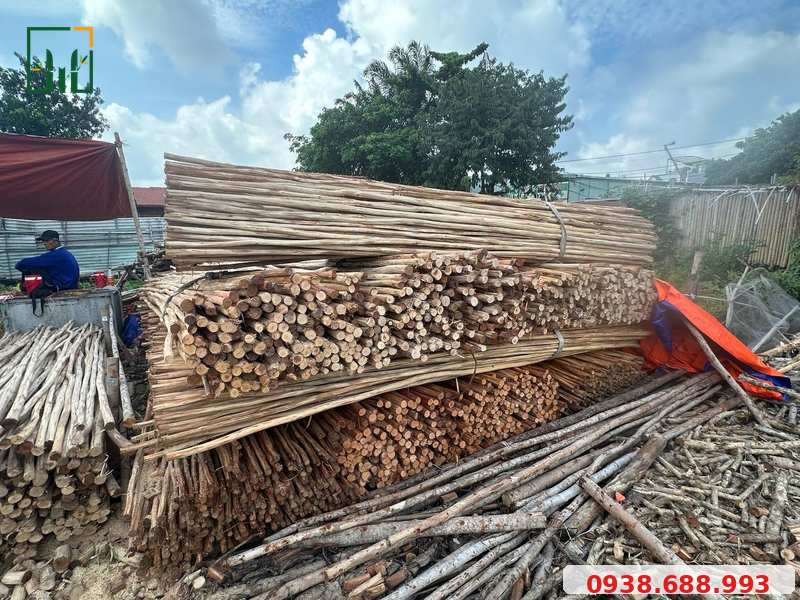 Cừ bạch đàn bóc vỏ trang trí thi công Cừ bạch đàn bóc vỏ trang trí thi công - Tre Trúc VN