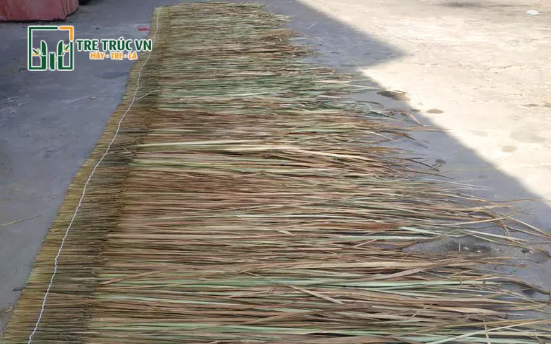 Các loại lá lợp nhà tự nhiên — So sánh 6 loại phổ biến nhất 2026 Cỏ tranh lợp nhà 6m — một trong các loại lá lợp nhà tự nhiên