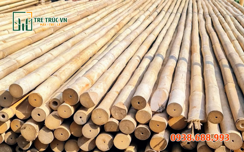 Cách bảo quản tre trúc