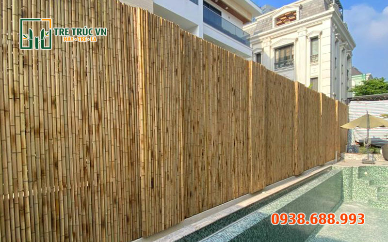 Cây Trúc Khô Trang Trí — Giá Xưởng Tận Gốc Tại TPHCM | Tre Trúc VN Hàng rào cây trúc khô tự nhiên sân vườn — Tre Trúc VN