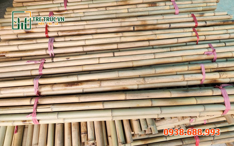 Cây trúc khô trang trí trí