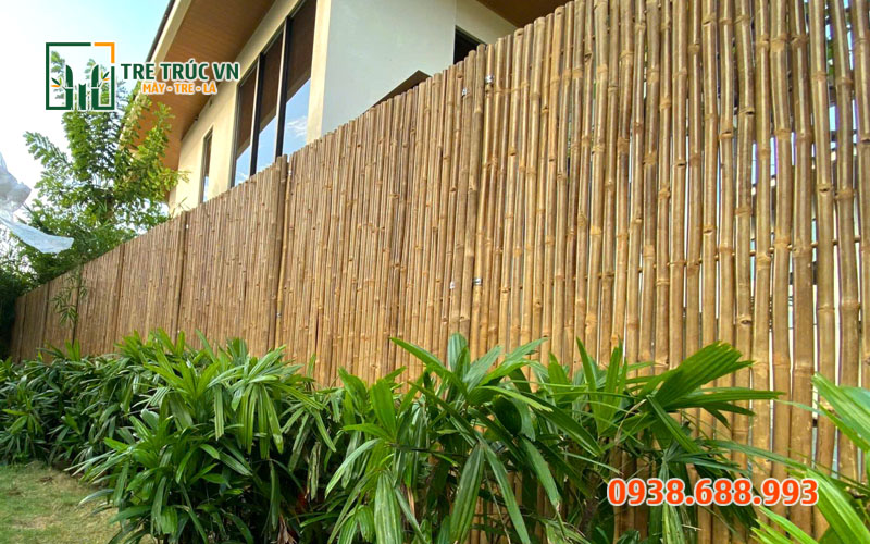 Tre Tầm Vông Nguyên Liệu — Giá Rẻ Nhất Tại TPHCM | Tre Trúc VN Hàng rào tre tầm vông tự nhiên — rẻ hơn 60% so với hàng rào sắt