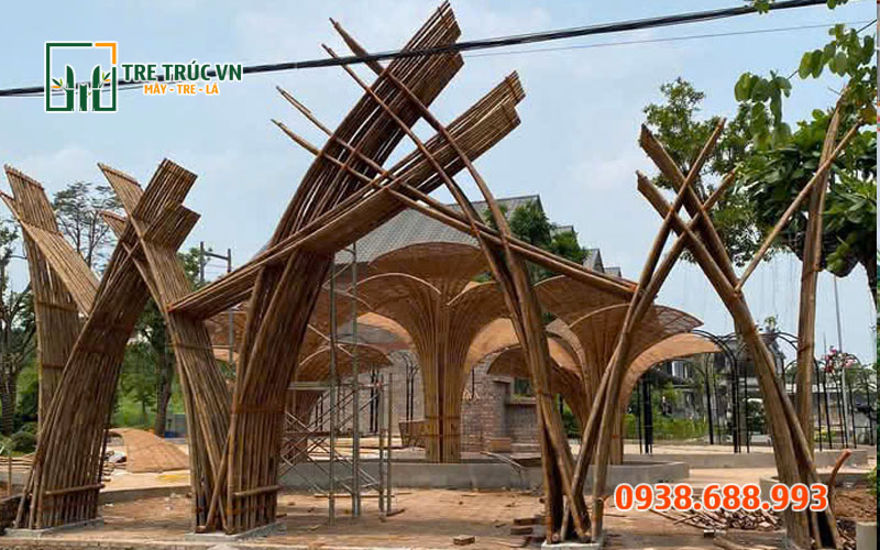 Tre Tầm Vông Nguyên Liệu — Giá Rẻ Nhất Tại TPHCM | Tre Trúc VN Uốn cong tầm vông trang trí quán cafe homestay — Instagram-worthy