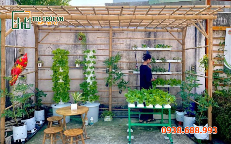 Tre Tầm Vông Nguyên Liệu — Giá Rẻ Nhất Tại TPHCM | Tre Trúc VN Giàn leo tre tầm vông — mỗi giàn 10m² chỉ tốn 20 cây