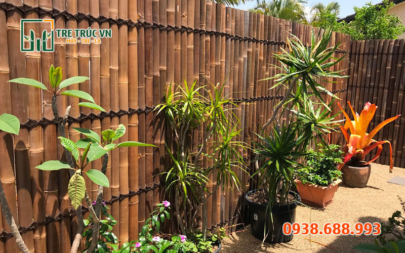 Tre Luồng Nguyên Liệu — Giá Xưởng Tại TPHCM | Tre Trúc VN Hàng rào tre luồng chịu lực — chắc chắn gấp 3 lần tre gai