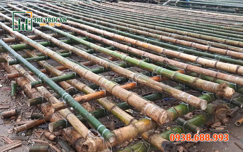 Tre Luồng Nguyên Liệu — Giá Xưởng Tại TPHCM | Tre Trúc VN Giàn giáo tre luồng thi công — an toàn, chắc chắn