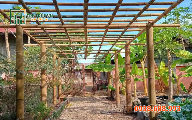 Tre Gai Nguyên Liệu — Cứng Nhất Việt Nam, Giá Xưởng TPHCM | Tre Trúc VN Tre gai làm cảnh quan sân vườn — tiểu cảnh Zen ấn tượng